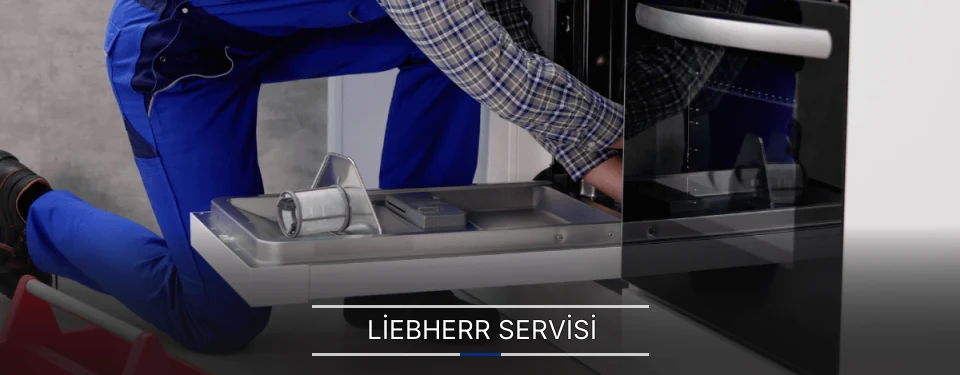 Liebherr Servisi